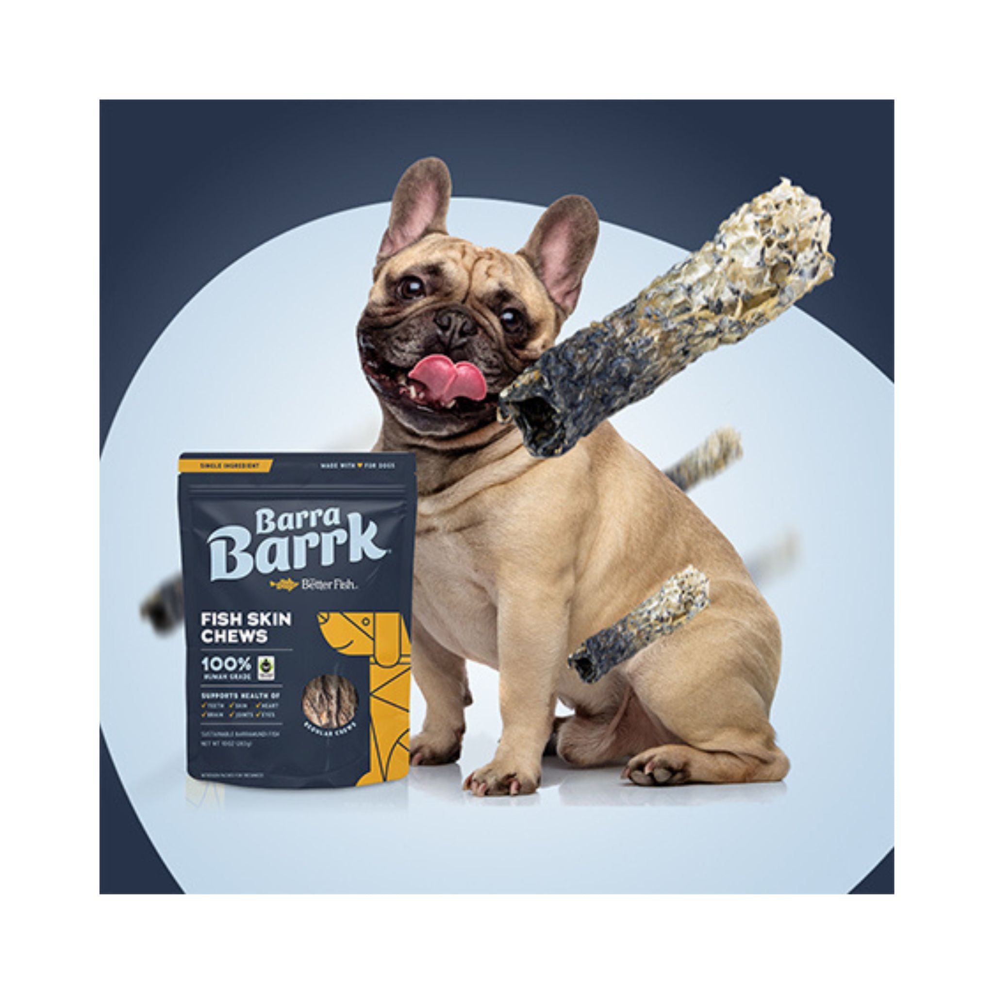 Barra Barrk Fish Skin Chews for Dogs - 283g