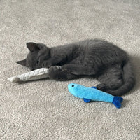 Cute kitten enjoying playtime with Battersea Daily Catch catnip fish toys.