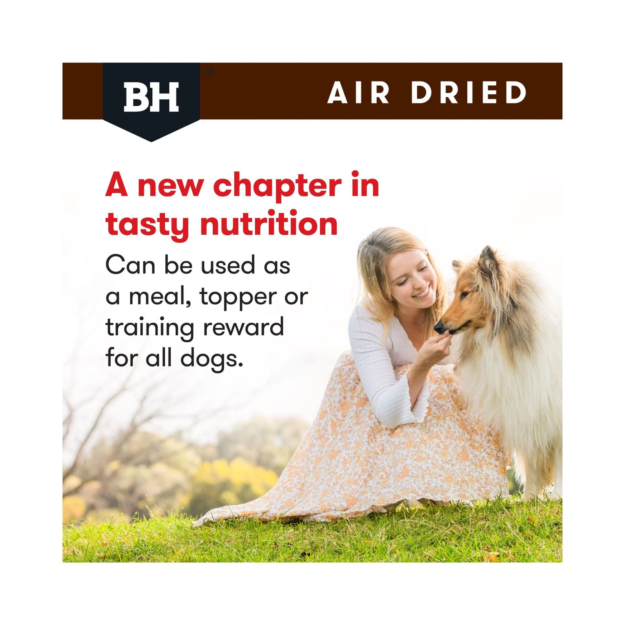 Woman feeding a Collie dog Black Hawk Air-Dried nutrition, highlighting its use as a complete meal, topper, or high-value training reward.