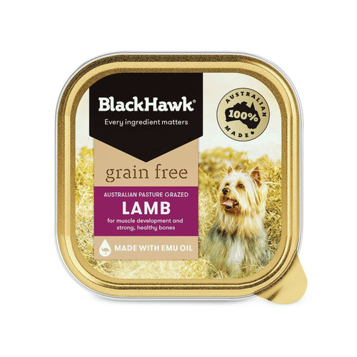 Black Hawk grain-free lamb dog food 100g tray displayed on a white background.