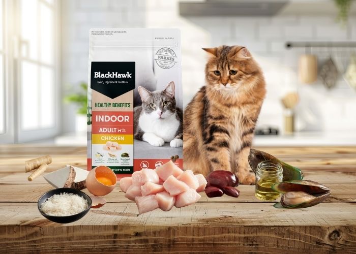 Black Hawk Healthy Benefits cat food supporting indoor and weight management nutrition.