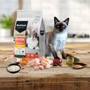 An adult cat sitting on a wooden tabletop next to a bag of Black Hawk Healthy Benefits Indoor Cat Food with fresh raw chicken, rice, and natural ingredients displayed in the foreground.