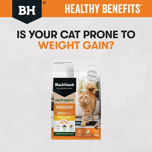 Black Hawk Healthy Benefits Weight Management graphic with text "is you cat prone to weight gain?"