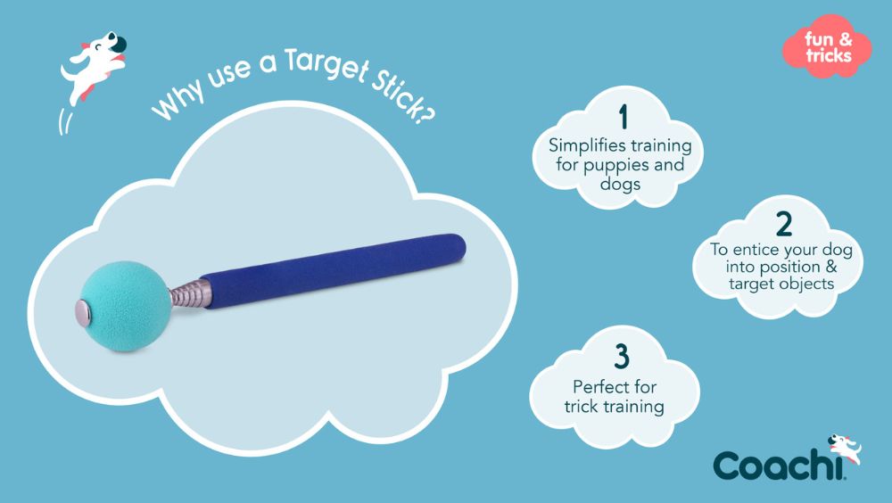 Illustration explaining the benefits or using a target stick for fun and tricks.