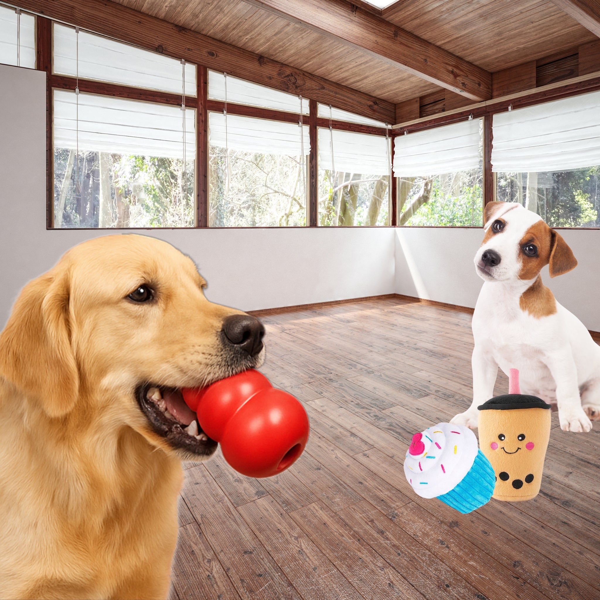 dog-shop-toys.jpg