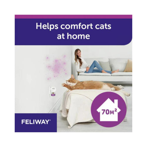 Feliway for cats graphic featuring 'Helps comfort cats at home' text with a woman and cat in a living room setting.