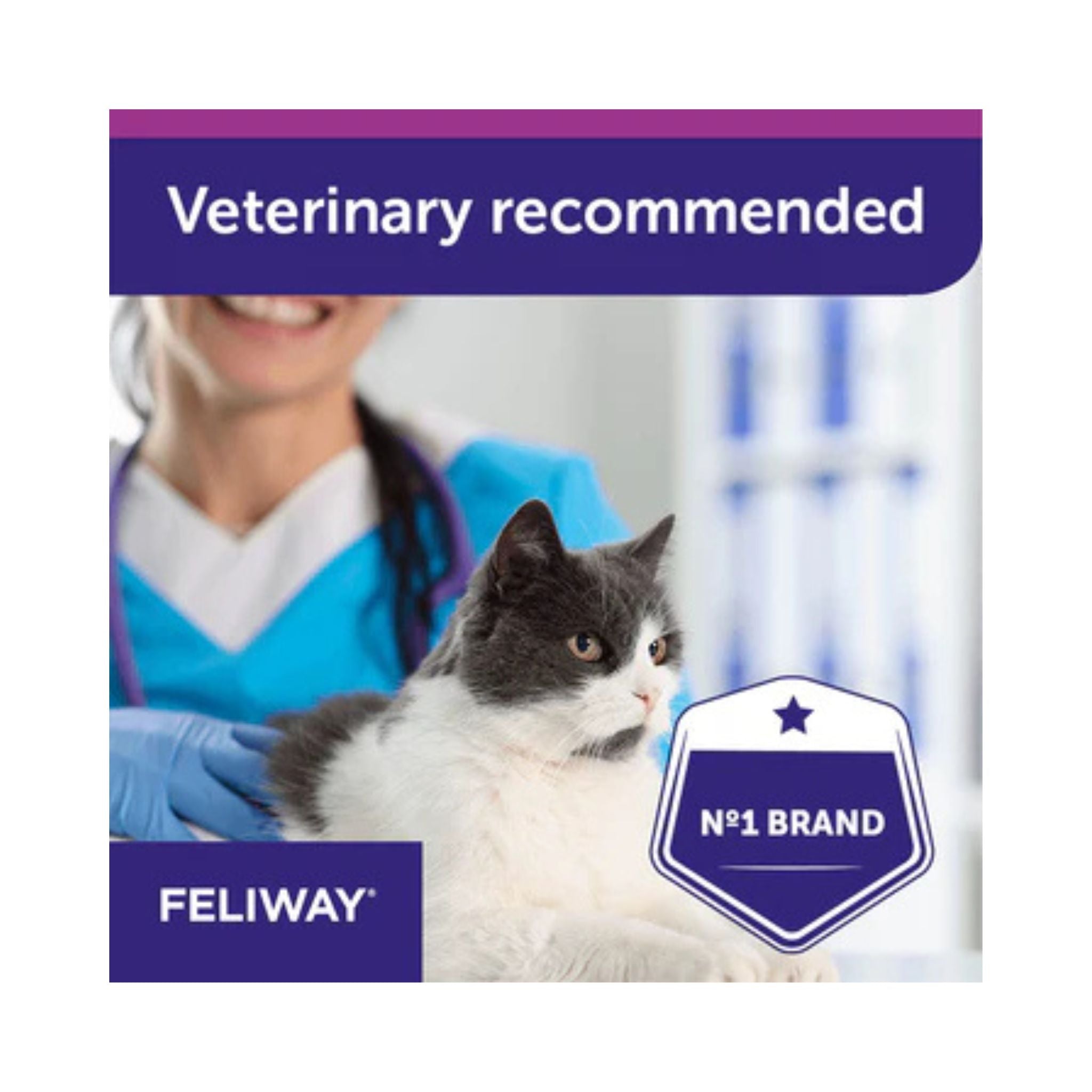 Feliway branded graphic with a cat and veterinarian, featuring the label 'Veterinary recommended' and 'No.1 Brand'.