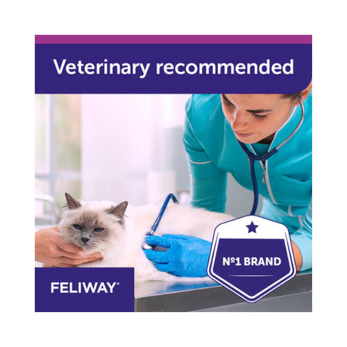 Veterinarian examining a cat with Feliway branding and 'Veterinary recommended' text.