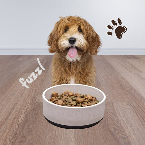 Medium dog eating kibble from Fuzzl Titan Bamboo & Rubber Base Dog Bowl in Stone