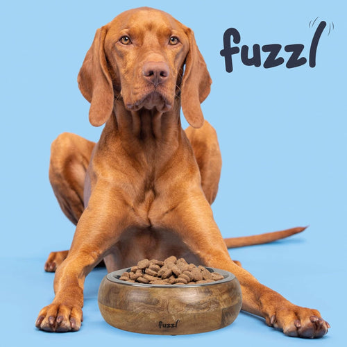 Large dog sitting behind Fuzzl Titan Mango Wood & Stainless Steel Dog Bowl filled with dry kibble.