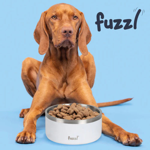 Large dog sitting behind Fuzzl Titan Thermal Dog Bowl in Matt White filled with kibble, Fuzzl logo displayed in top right.
