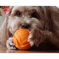 Image of a dog chewing on a bright orange GiGwi G-Foamer ball.  