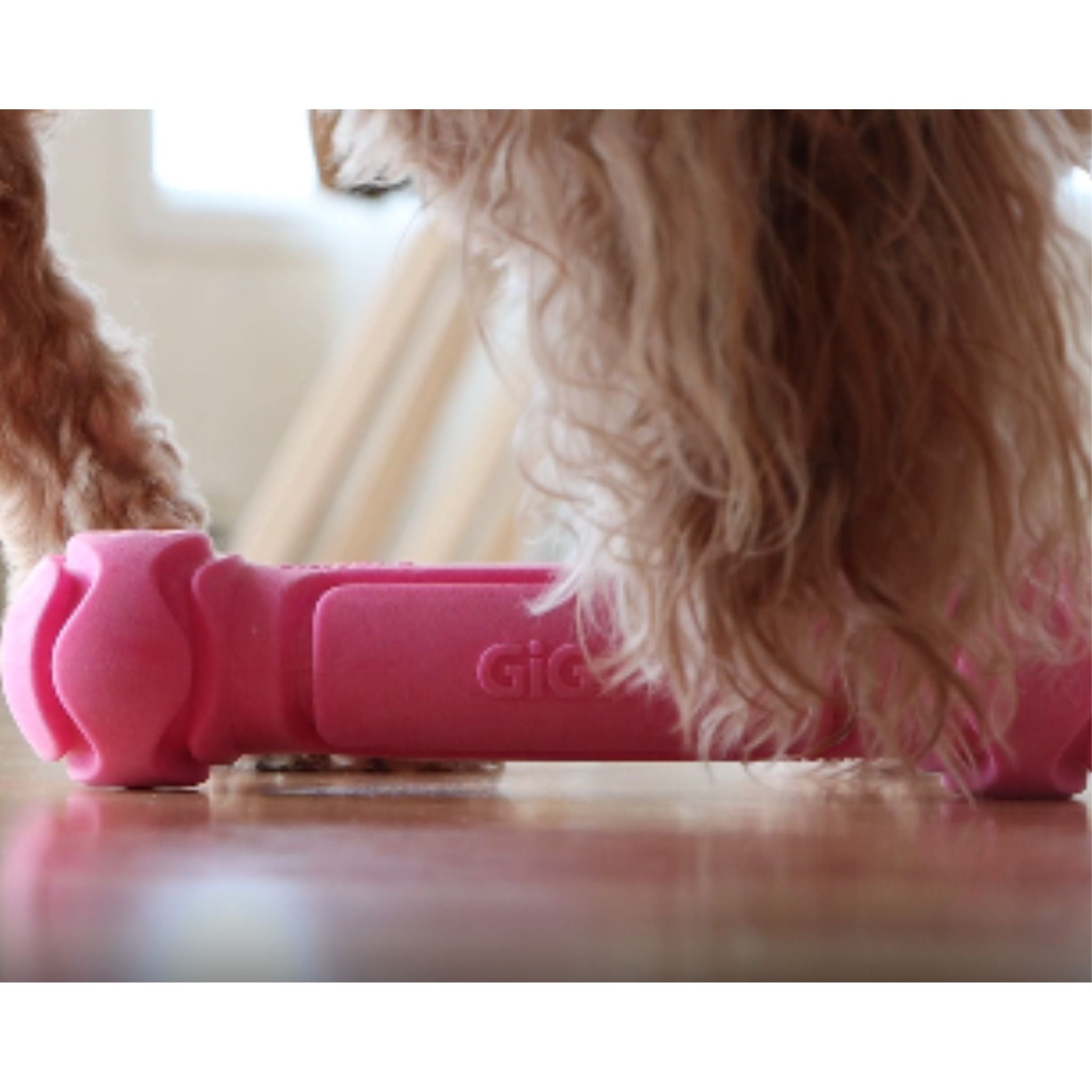 GiGwi G-Foamer Dumbbell – The Ultimate Interactive Dog Toy