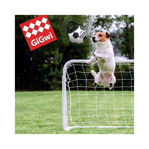 White dog jumping to fetch a GiGwi Jumball Soccer Ball 