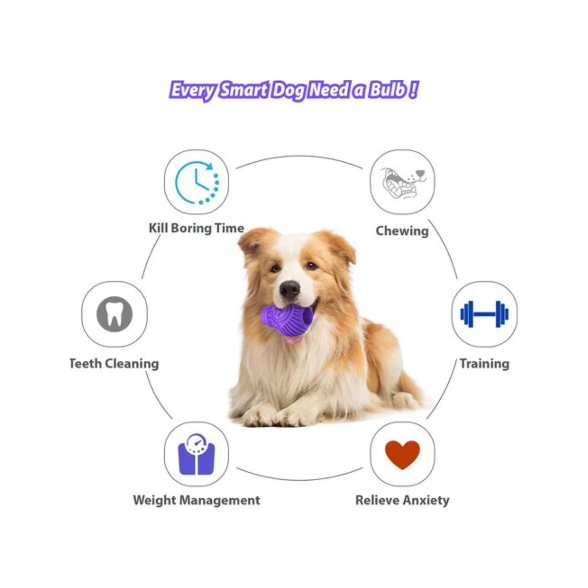 Dog lying down with the GiGwi Treat Dispensing Bulb, surrounded by icons highlighting its treat dispensing, chewing and enrichment features
