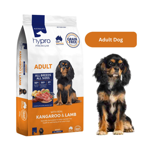 Hypro Premium Kangaroo & Lamb Grain-Free Adult Dog Food bag beside a dog