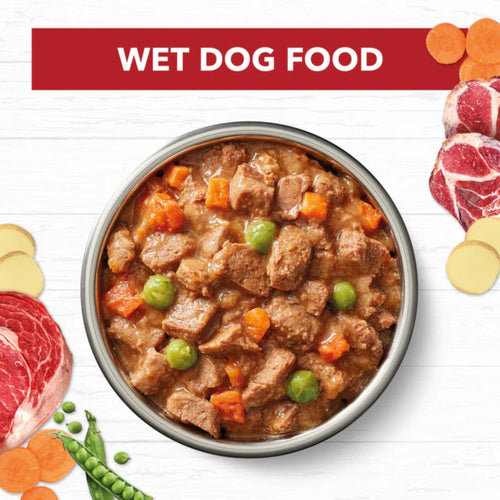 Bowl of Ivory Coat Beef Stew Adult Wet Dog Food with visible beef chunks and vegetables