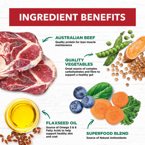 Ivory Coat adult dog food ingredients chart featuring beef, vegetables, flaxseed oil, and superfood blend