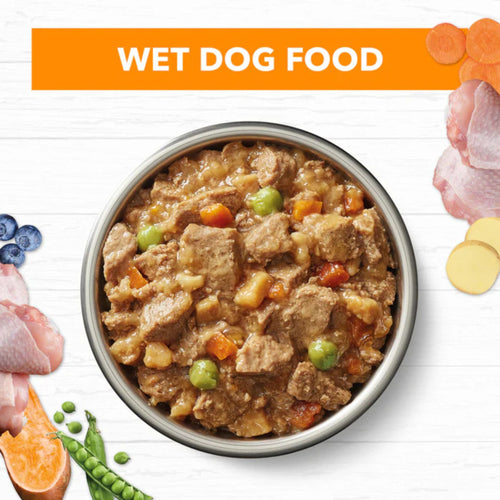 Bowl of Ivory Coat Chicken Stew Adult Wet Dog Food with visible meat and vegetables
