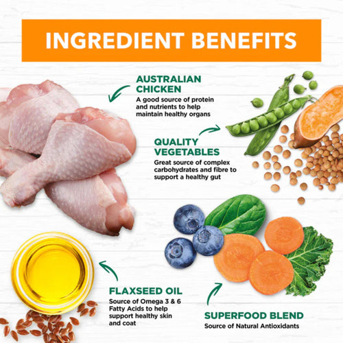 Ivory Coat adult dog food ingredients chart featuring Australian chicken, vegetables, flaxseed oil, and superfood blend