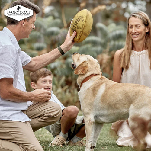 Family interacting with  a dog outdoors with Ivory Coat branding promoting lamb and kangaroo adult dog food