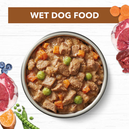 Bowl of Ivory Coat Lamb & Kangaroo Stew Adult Wet Dog Food with chunks of meat and vegetables
