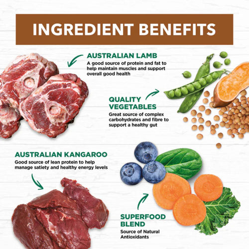 Ivory Coat adult dog food ingredients chart featuring lamb, kangaroo, vegetables, flaxseed oil, and superfood blend