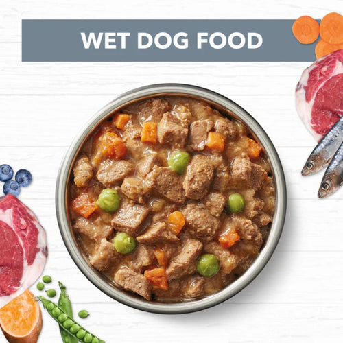 Bowl of Ivory Coat Lamb & Sardine Stew Adult Wet Dog Food with visible lamb, sardines, and vegetables