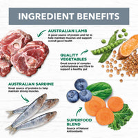 Ivory Coat adult dog food ingredients chart featuring lamb, sardine, vegetables, flaxseed oil, and superfood blend