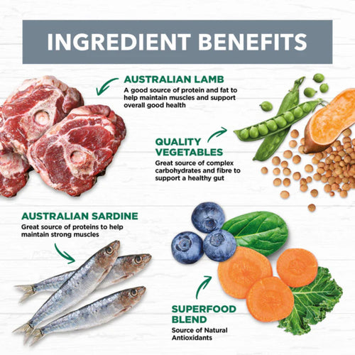 Ivory Coat adult dog food ingredients chart featuring lamb, sardine, vegetables, flaxseed oil, and superfood blend