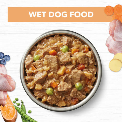 Bowl of Ivory Coat Chicken Stew Puppy Wet Dog Food with visible chicken and vegetables