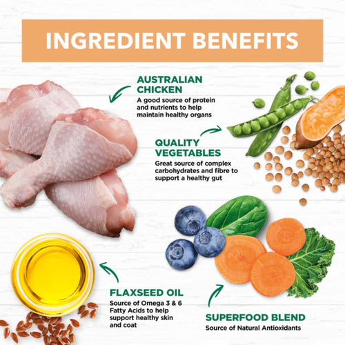 Ivory Coat puppy food ingredients chart featuring chicken, vegetables, flaxseed oil, and superfood blend