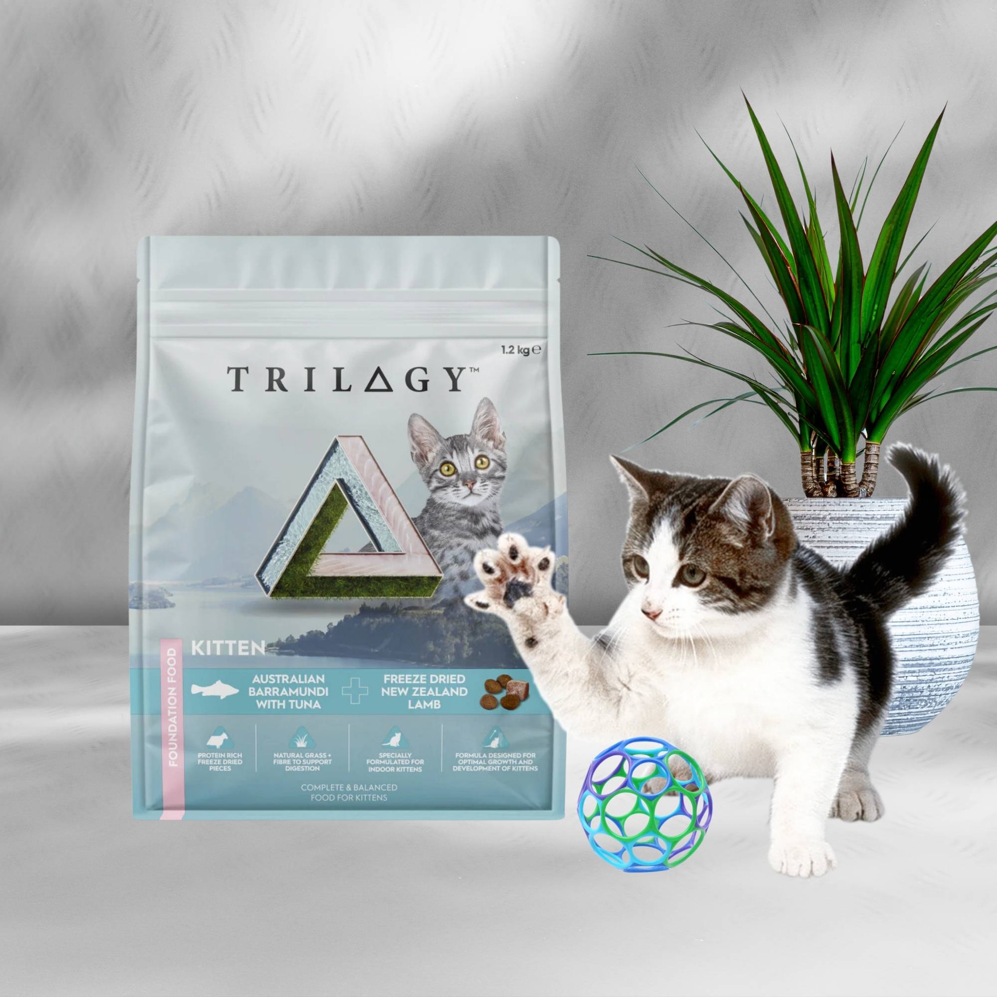 Trilogy Kitten food packaging beside a playful kitty with a ball.