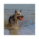 German Shepherd retrieving an orange KONG Aqua floating dog toy from the water.