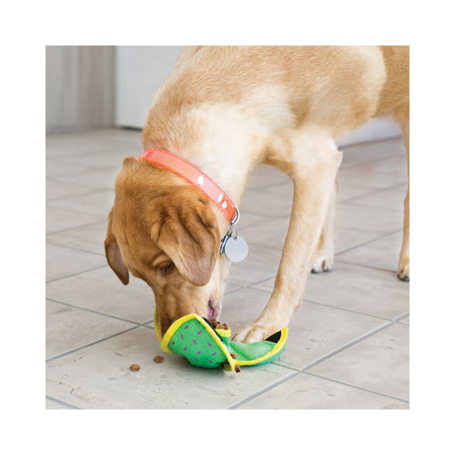 Golden Labrador searching for treats in a Green KONG Ballistic Hide 'N Treat dog toy