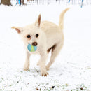 Light coloured dog carrying a blue & lime green KONG CoreStrength Ball in its mouth.