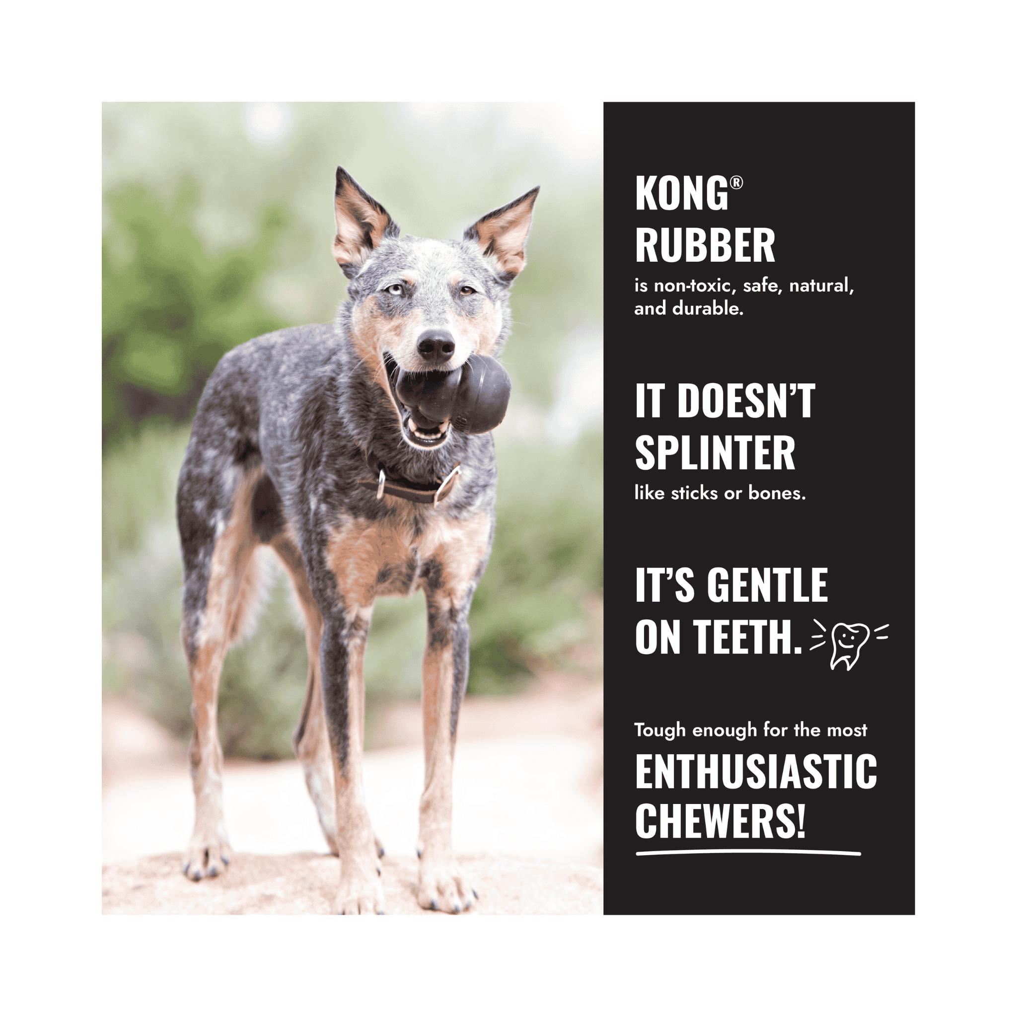 KONG Extreme Black Dog Toy – Durable Rubber for Power Chewers