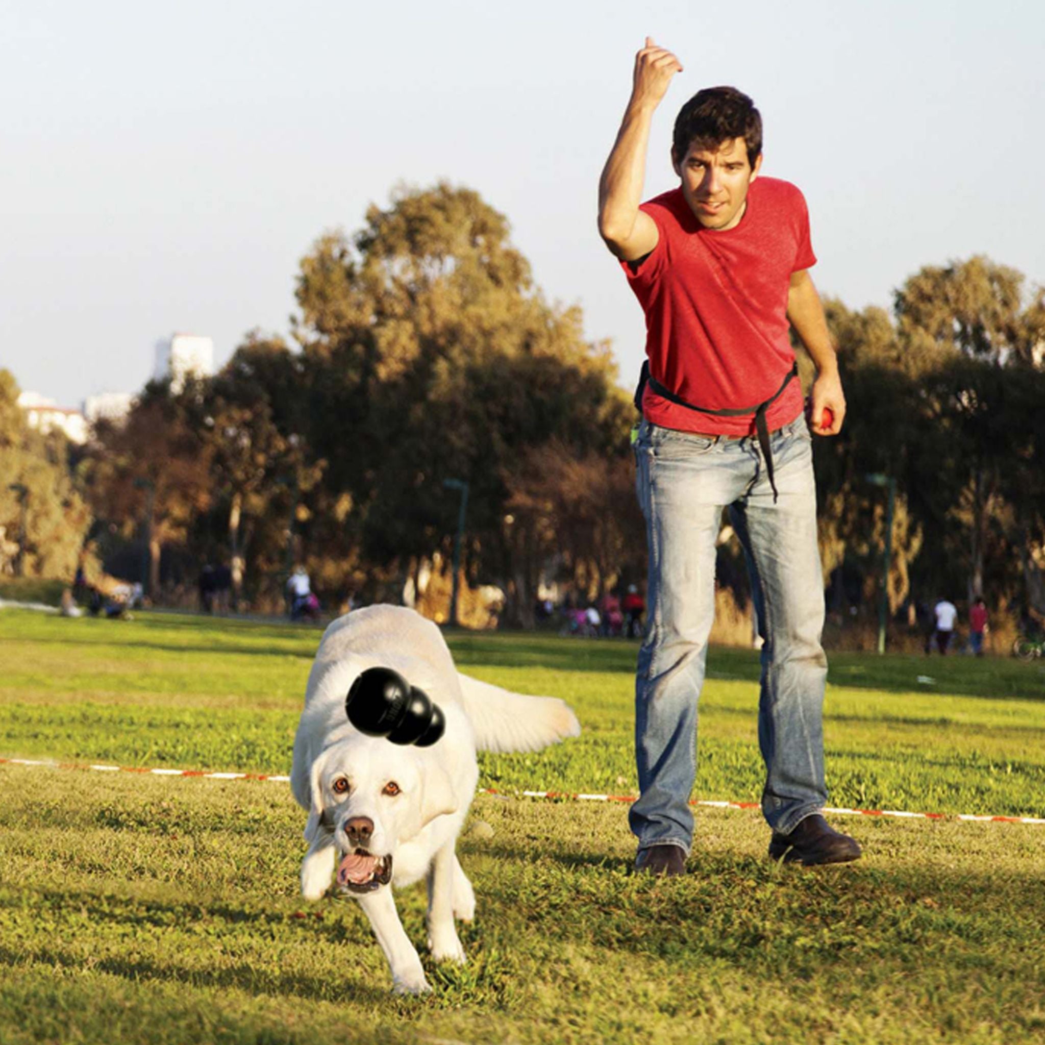 An image of a pet owner and his dog playing fetch with a KONG Extreme Black Rubber toy.