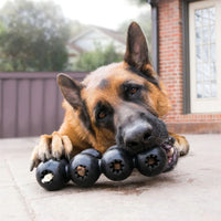 A dog enjoying chew time with a KONG Extreme Goodie Ribbon treat-dispensing toy.