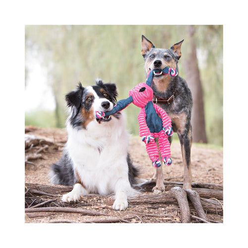 Two dogs playing with a colorful KONG Floppy Knots rope toy in a natural setting.