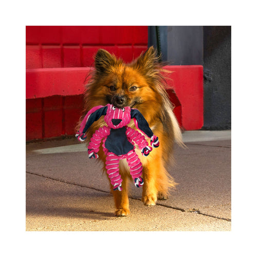 Small dog holding a pink and black KONG Floppy Knots toy on a sidewalk.