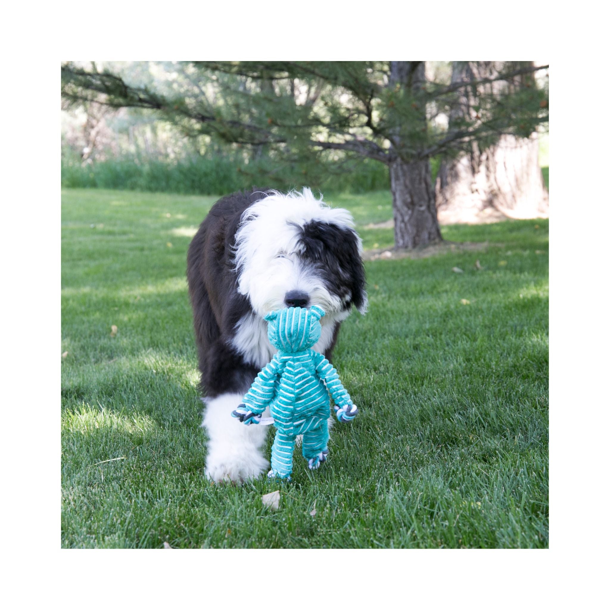 KONG Floppy Knots Hippo: Ultimate Dog Playmate