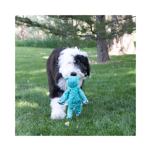 Dog carring a green KONG Floppy Knots toy in a natrual grassy outdoor setting.