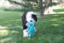 Dog in mid-play, gripping a KONG Floppy Knots Hippo, ready for a game of fetch.