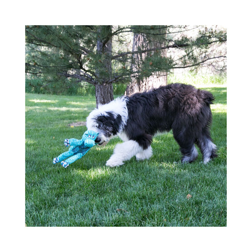 Dog playing with a green KONG Floppy Knots Hippo plush and rope toy in a grassy area with trees in the background.