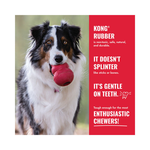 KONG Classic Rubber graphic listing the benefits of the KONG Goodie Ribbon dog toy.