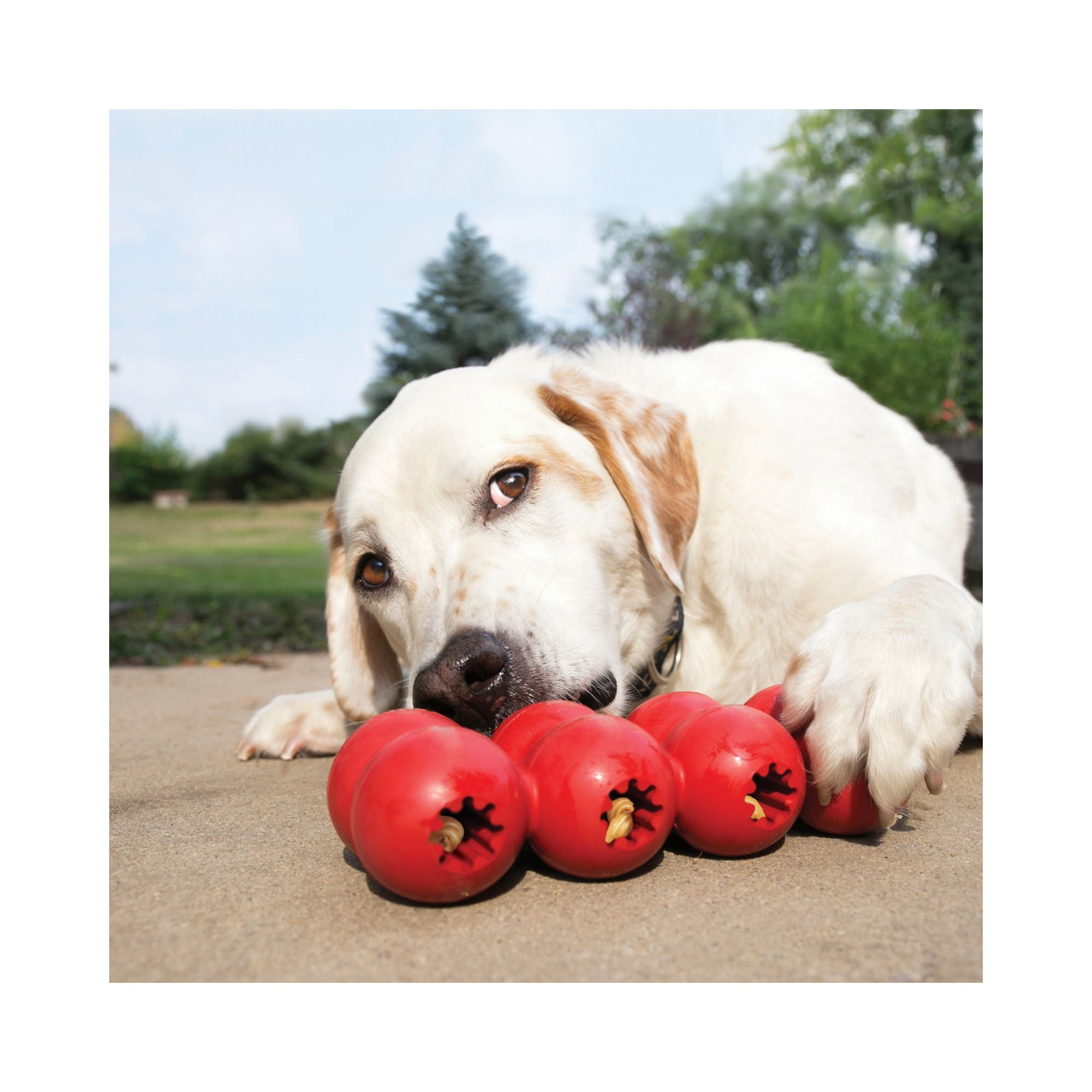 KONG Goodie Ribbon Dog Toy