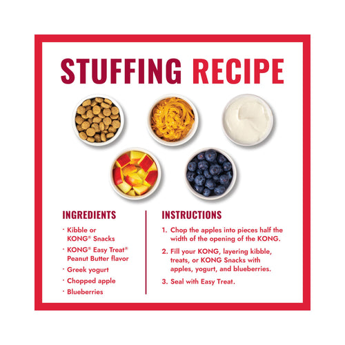 Recipe infographic showing healthy ingredients to stuff inside KONG Goodie Ribbon treat chambers.
