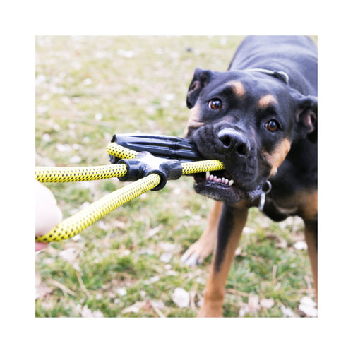 Dog tugging on a KONG Jaxx durable interactive dog toy - featuring a black handle and yellow rope