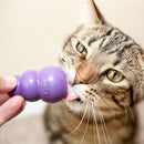 Feline licking a Purple KONG Kitty Treat Dispenser.